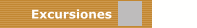 Excursiones