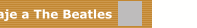 Homenaje a The Beatles
