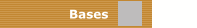 Bases 